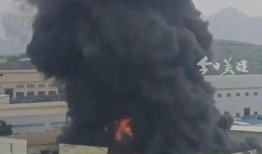 广西火灾最新爆料消息,多栋建筑被毁，救援行动紧急展开